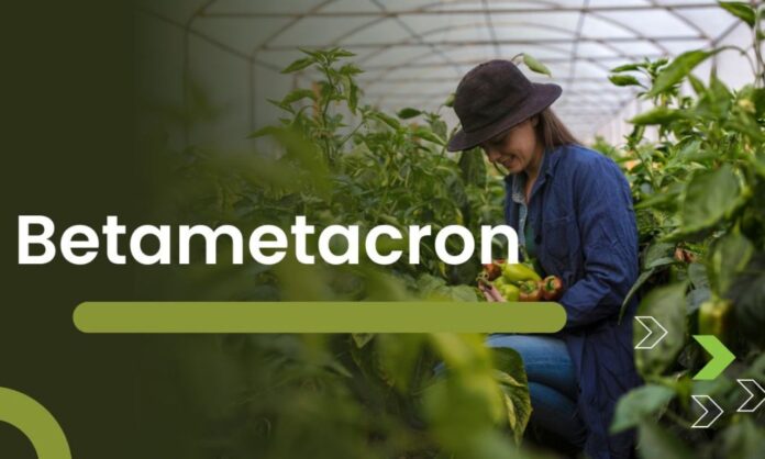 betametacron