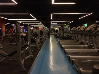 celebrity fitness trends celebrity fitness trends